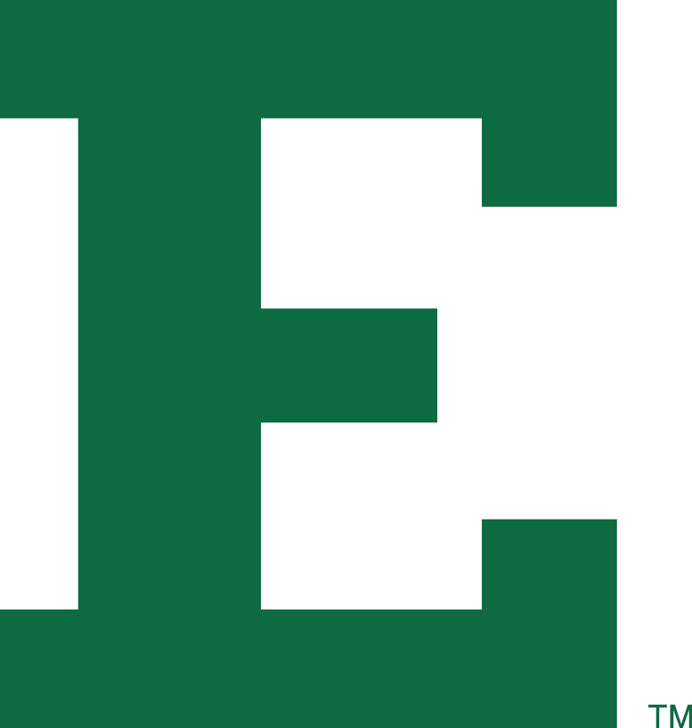 Eastern Michigan Eagles 1995-2001 Alternate Logo t shirts DIY iron ons
